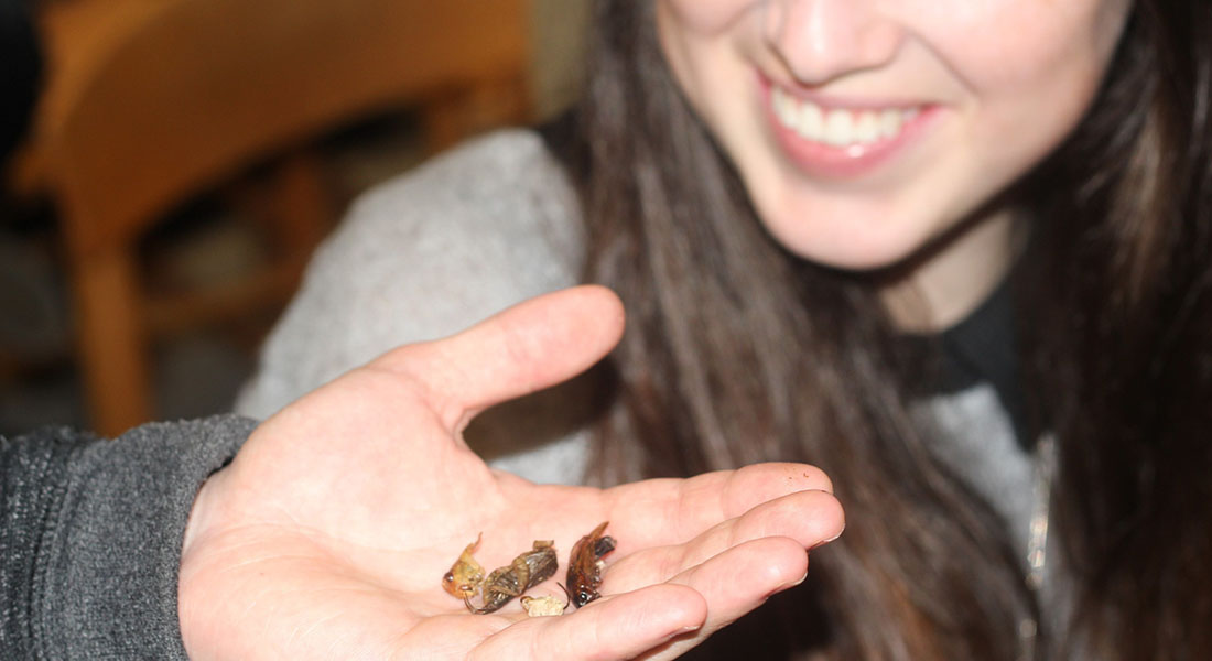 People were equally curious and sceptical when presented with the snacks Image: Sarah Lund